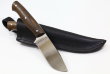 Нож разделочный из кованой шх15 стали - Нож для ошкуривания дичи